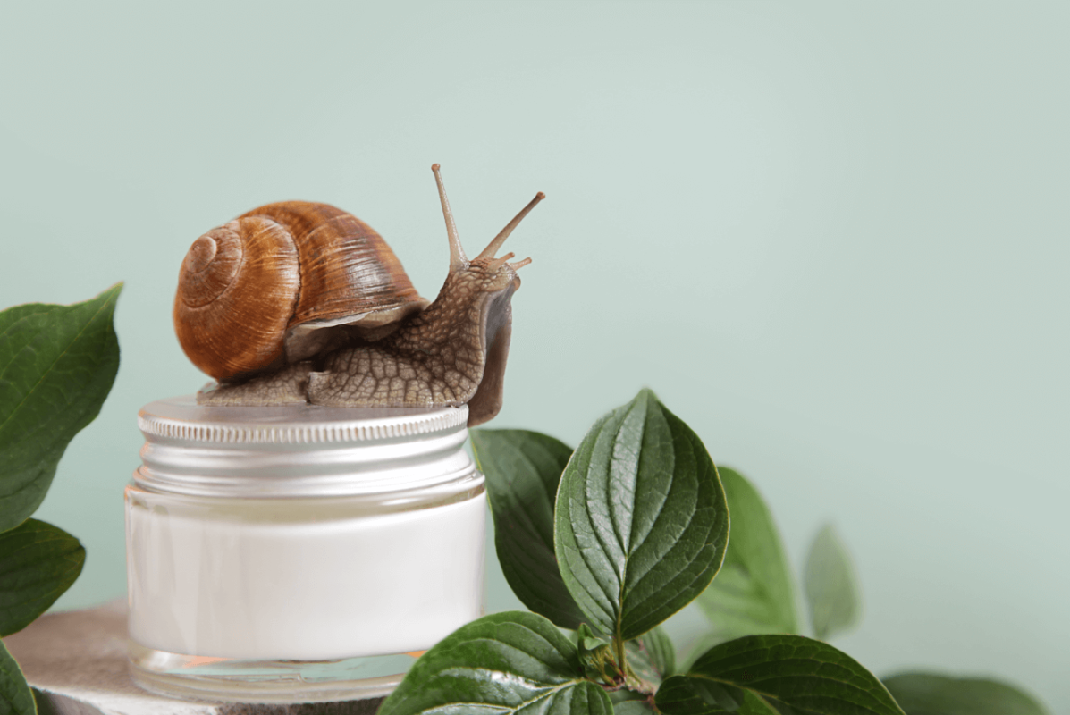 Blog - Mucina de Melc Beneficii